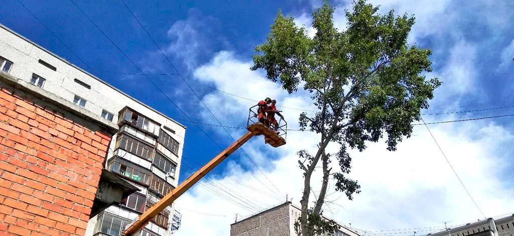 автовышка для обрезки деревьев фото