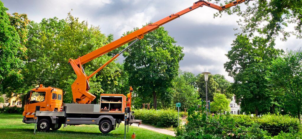 чем отличается автовышка от АГП