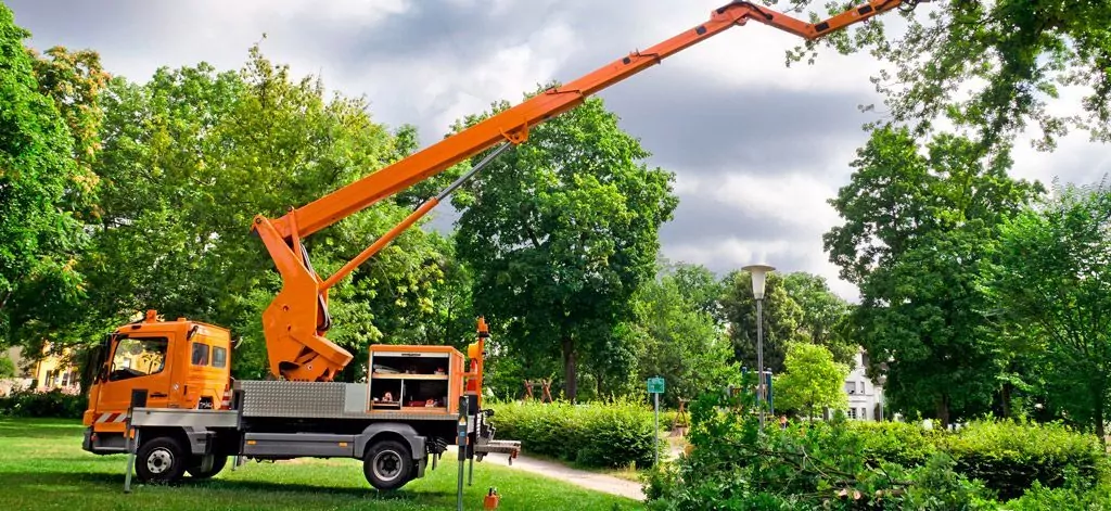 чем отличается автовышка от АГП